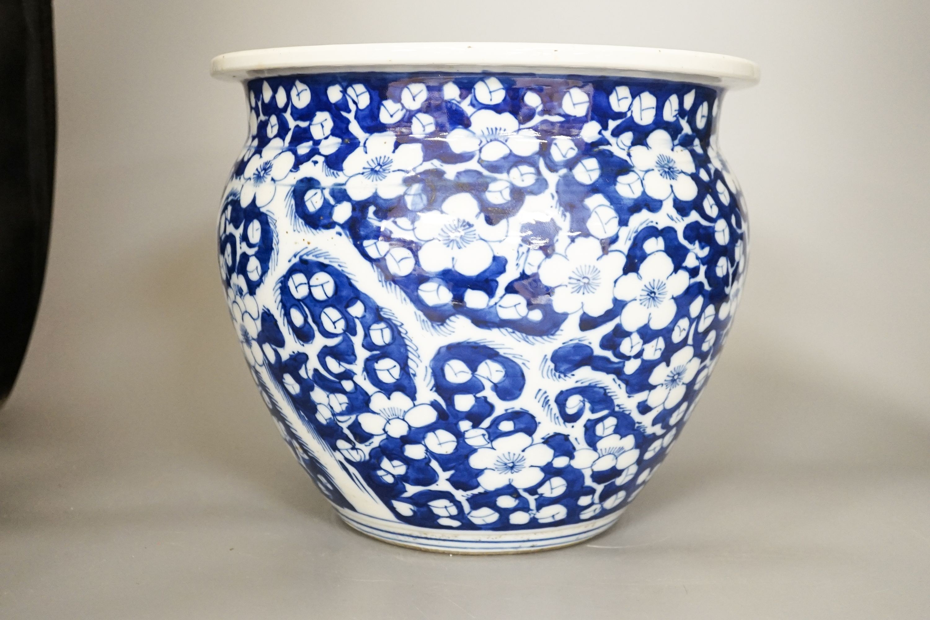 Two 19th century Chinese porcelain fish bowls, largest 26.5 cm diameter